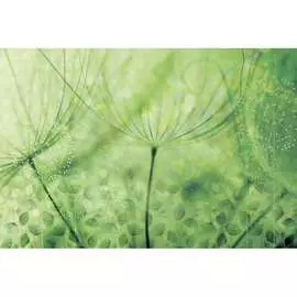 Обои АртПолиграф