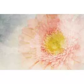 Обои АртПолиграф