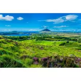 Обои АртПолиграф