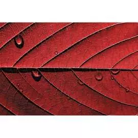 Обои АртПолиграф