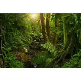 Обои АртПолиграф