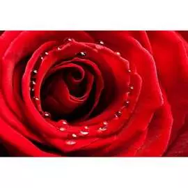 Обои АртПолиграф