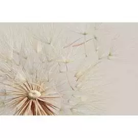 Обои АртПолиграф