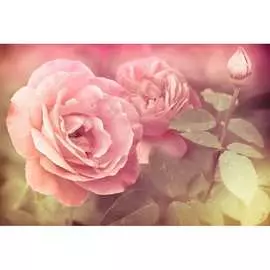 Обои АртПолиграф