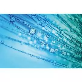 Обои АртПолиграф