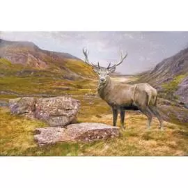 Обои АртПолиграф