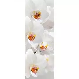 Обои АртПолиграф