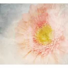 Обои АртПолиграф