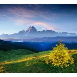 Обои АртПолиграф