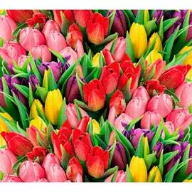 Обои АртПолиграф