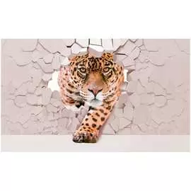 Обои ТОП ФОТООБОИ