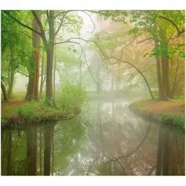 Обои ТОП ФОТООБОИ