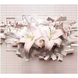 Обои ТОП ФОТООБОИ