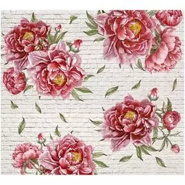 Обои ТОП ФОТООБОИ