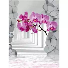 Обои ТОП ФОТООБОИ