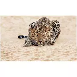 Обои ТОП ФОТООБОИ