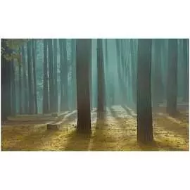 Обои ТОП ФОТООБОИ