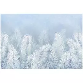 Обои ТОП ФОТООБОИ