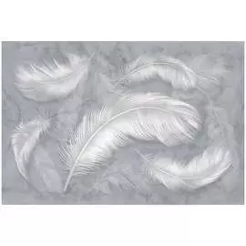 Обои ТОП ФОТООБОИ