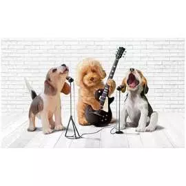 Обои ТОП ФОТООБОИ