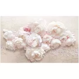 Обои ТОП ФОТООБОИ