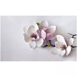 Обои ТОП ФОТООБОИ