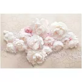 Обои ТОП ФОТООБОИ