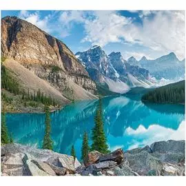 Обои ТОП ФОТООБОИ