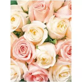 Обои ТОП ФОТООБОИ