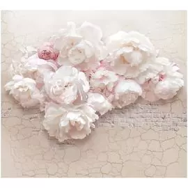 Обои ТОП ФОТООБОИ