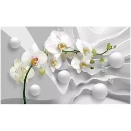 Обои ТОП ФОТООБОИ