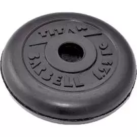 Обрезиненный диск ООО "Верхнеуральский завод РТИ"