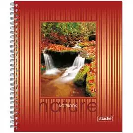 Общая тетрадь Attache