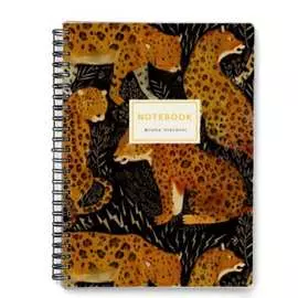 Общая тетрадь Bruno Visconti