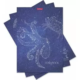 Общая ученическая тетрадь ErichKrause