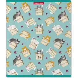 Общая ученическая тетрадь ErichKrause