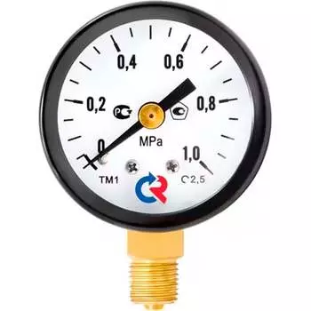 Общетехнический манометр РОСМА ТМ-310Р.00 D070-05956