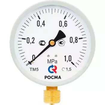 Общетехнический манометр РОСМА ТМ-510Р.00 М2 D270-06612