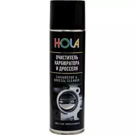 Очиститель карбюратора и дросселя HOLA H03
