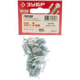 Оцинкованные гвозди ЗУБР МАСТЕР 305096-30-020