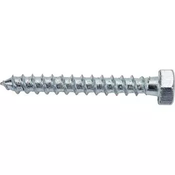Оцинкованный сантехнический шуруп ЕВРОПАРТНЕР 8х60 DIN 571 6 шт. 5 0948 4