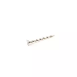 Оцинкованный толевый гвоздь Стройметиз 2,8х30 0,2 кг 2270013