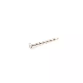 Оцинкованный толевый гвоздь Стройметиз 2,8х50 0,5 кг 2270038