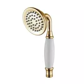 Однофункциональная душевая лейка Lemark LM8007G