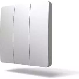 Одноклавишный дистанционный выключатель GRITT