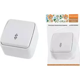 Одноклавишный переключатель TDM ELECTRIC Дача Народная SQ1824-0003