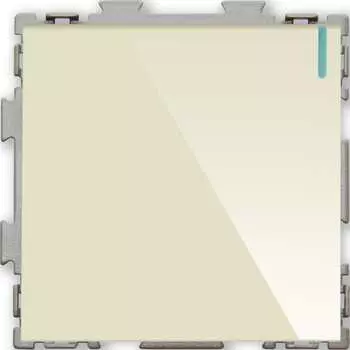 Одноклавишный проходной переключатель CGSS Практика PL-W101-PBGG