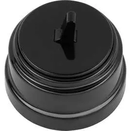 Одноклавишный тумблерный выключатель BYLECTRICA серия РЕТРО А110-2203 черный