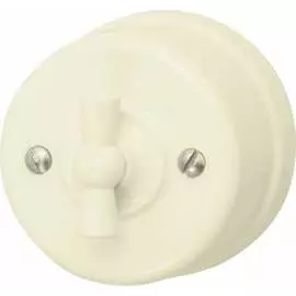 Одноклавишный выключатель Bironi B1-200-211