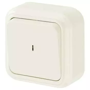 Одноклавишный выключатель BYLECTRICA ПРАЛЕСКА А110-214